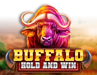 Buffalo Hold and Win